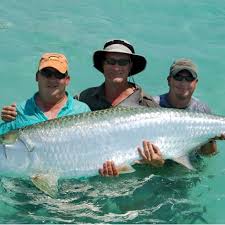 Tampa Bay Fish Species Captain Matt Fishing Charters