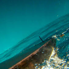 Mitte 2004 sprach das unternehmen von ca. Das Purpurmeer Auf Arte Die Kunstlerin Amel Alkazout Dokumentiert Ihre Flucht Aus Syrien Tv Kino