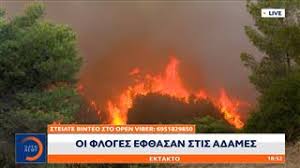 Η περιοχή είναι γνωστή για την εμπορική της αγορά, την άρτια ρυμοτομία. Gswrxmen 2ao6m