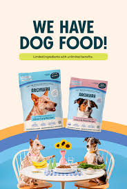 Image result for invalid dog wheelset