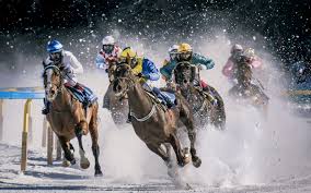 historique des gagnants des grandes courses de chevaux

