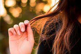 In autunno la caduta dei capelli si intensifica: Autunno E Caduta Dei Capelli Partner Framesi Club