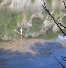 Situé dans un cadre naturel et exceptionnel, avec deux magnifiques lacs, une pinède et de vastes espaces, nous avons créé un terrain de jeux géant aussi bien destiné aux petits qu'aux plus grands. L Eau Du Lac En Bateau Lakevio