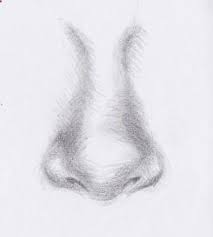 Beginner Black And White Portrait Drawing Drawing Pencil Portraits Beginner Tutorial How To Draw A Realistic Nose Easy Basic Step By Pencil Portrait Portrait Drawing Pencil Portrait Drawing