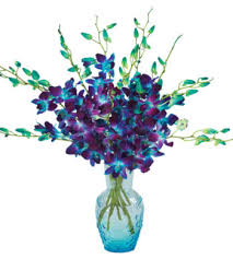 Image result for eustoma lisianthus in vase