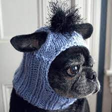 Image Result For Dog Hat With Ear Holes Dog Hat Pugs Animal Hats
