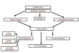 Skip to content search menu this is cancer.net's guide to prostate cancer. The Role Of Physiotherapy In The Pre And Post Treatment Interventions In Prostate Cancer Patients Intechopen