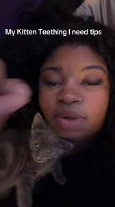 Why Is My Cat Losing Teeth