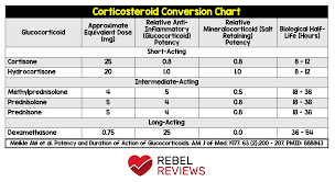 rebel review 46 corticosteroid conversion chart