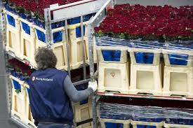 4.1 out of 5 stars 346. Fresh Cut Flowers For Mom Shipped By Sea Wsj