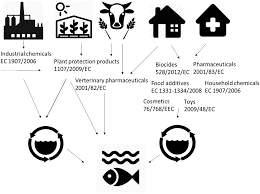 Greeicy rendón nos contó la cirugía a la que se sometió y cómo mantiene su cuerpo. Mitigation Options For Chemicals Of Emerging Concern In Surface Waters Operationalising Solutions Focused Risk Assessment Environmental Science Water Research Technology Rsc Publishing Doi 10 1039 C7ew00077d