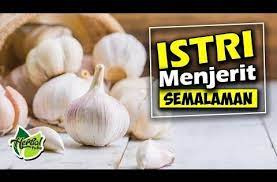Mantul Gan Cuman 3 Siung Bawang Putih Tapi Istri Menjerit Semalaman Youtube Kesehatan Pria Perawatan Kesehatan Obat Alami