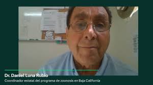 Rabia? ¡No en México!