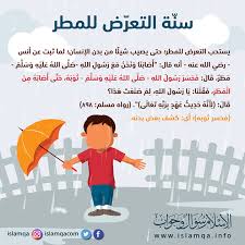يستحب التعرض للمطر حتى يصيب شيئا من بدن الإنسان islam education family guy