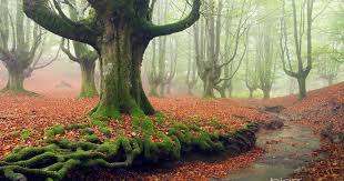 29 Desktop Desktop Wallpaper Widescreen Nature Bing Images 49 Bing 1360x768 Wallpaper O Nature Desktop Wallpaper Landscape Rock Beautiful Nature Wallpaper Hd