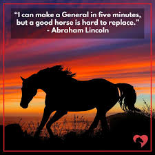 A sad, insidious, and ambitious dogcatcher attempts to catch bowlcut. 15 Greatest Quotes About Horses Of All Time