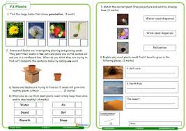 These science worksheets are great for any classroom. Plants Worksheet For Year Science Teachwire Teaching Resource Worksheets Grade Y2 Int Elementaryath Word Problemsathematics Kindergarten Jaimie Bleck