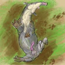 Tapir vs anteater