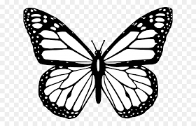 We did not find results for: Butterfly Clipart Easy Simple Butterfly Clipart Stunning Free Transparent Png Clipart Images Free Download