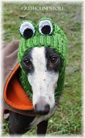 Frog Hat For Greyhound Galgo Lurcher By Greyhoundstore On Etsy Null Greyhound Grey Hound Dog Lurcher