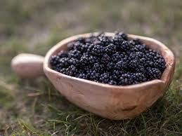 Check spelling or type a new query. 10 Delicious Wild Berries To Pick In Finland Sweden Norway Gone71 N