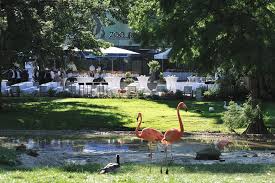 Sie interessieren sich für zoologischer garten (zoo) köln und attraktion in köln? Kolner Zoo Unternehmen