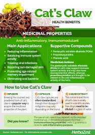 Cat S Claw Benefits A Key Ingredient In My Utrition See My Web Link In My Profile Cat S Claw Benefits Herbalism Health