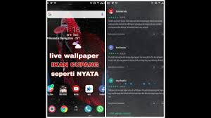 Terbaru Beta Fish Live Wallpaper Fre Mod Apk Indonesia Youtube