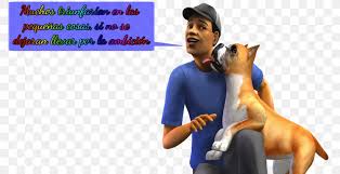 So, which states allow for raccoon domestication? The Sims 4 The Sims 2 Pets Dog Video Game Png 800x420px Sims 4 Animal Cat