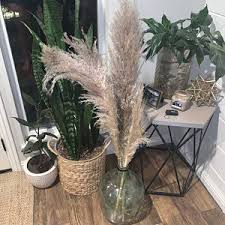 Pampas Grass Natural Dried Pampas Grass Decor Reed Plume Dry Boho Wedding Flower Arrangement Tall Bohemian Plant Home Decor In 2020 Natural Home Pampas Grass Long Shelf