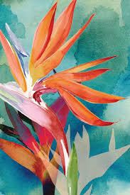 Shop art.com for the best selection of bird of paradise wall art online. Vivid Birds Of Paradise Ii Art Print By Jennifer Paxton Parker Icanvas