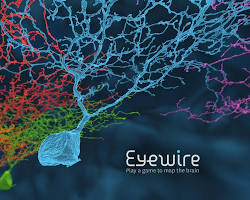 Image of Foldit and Eyewire video games