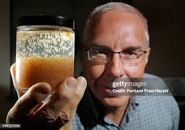 25 Gmri Stock Photos, High-Res Pictures, and Images