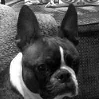 Abby Samler (abbysamler)