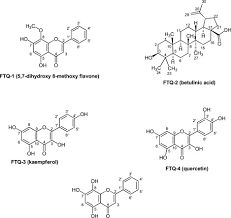 Image result for Tetracera boiviniana
