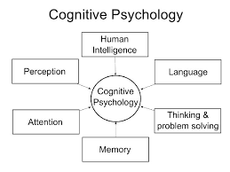 Cognition Ap Psychology Psychology Cognitive Psychology