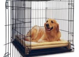 Almond Pvc Crate Bed Dog Crate Bed Chew Proof Dog Bed Crate Bed