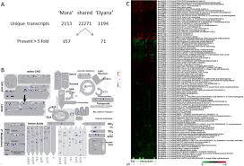 Ed grabianowski do you have lots of dusty photo albums with pages. Identification Of A Strawberry Flavor Gene Candidate Using An Integrated Genetic Genomic Analytical Chemistry Approach Bmc Genomics Full Text