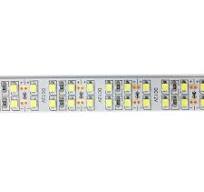Double Row 15mm 240LEDs/m SMD 2835 LED Strip Lights from ...
