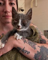 Bug dump 🪲 featuring a special fossil find