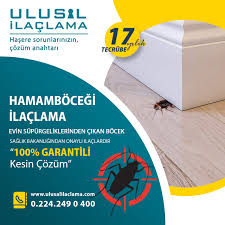 bursa da ilaclama bursa acik hava sinek ilaclama ulusal ilaclama