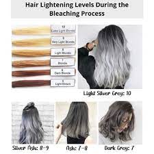 I'll show you how to bleach gray hair platinum. Hair Dye Shampoo Hair Bleaching Set Hair Cream Ash Gray Hair Color With Oxidant 3 21 Bob Keratin P Shopee Philippines