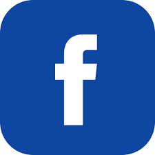 Icône Facebook Gratuit de Social network company Icons