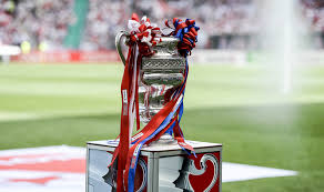 Den dritten cupsieg der vereinsgeschichte feiern die fans. Die Andere Sicht Auf Den Schweizer Cupfinal Swiss Football League Sfl