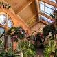 Winter’s Interlude An Orchid Presentation at Kingwood Center Gardens