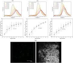 Erst vor etwa 50 jahren sind sie in die technisierte umwelt des menschen (zentrale warmwasserversorgung mit stagnationszonen) eingedrungen und seit dieser zeit ein hygienisches problem. Legionella Pneumophila Sg1 Sensing Signal Enhancement Using A Novel Electrochemical Immunosensor In Dynamic Detection Mode Sciencedirect
