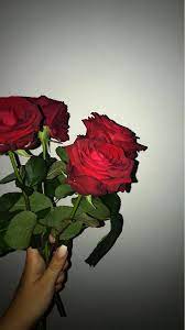 Dunkelrote rosen liegen auf einer dunklen oberfläche. Pin Von Julka Baran Auf Favs Blumen Hintergrund Iphone Rosentapete Rosen Hintergrundbilder