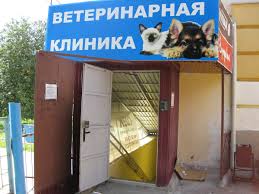 Ватажок "ДНР" Захарченко поскаржився на брак "тисяч лікарів у республіці" - Цензор.НЕТ 8395