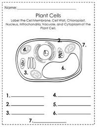 Pin On 3rd Grade Science