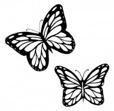 This page is about butterfly flying clip art black and white,contains butterflies flying butterfly clipart clipartfox,flying butterfly clipart,butterfly 25 download flying butterfly outline clipart flying butterfly clipart black and white png these pictures of this page are about:butterfly flying. Butterflies Black And White Outline Images Butterflies Black And White Outline Transparent Png Free Download